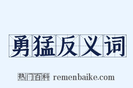 勇猛反义词是什么意思的图片